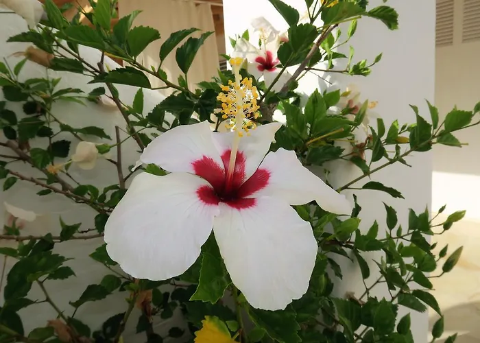 Hacienda Encanto Del Rio Appartamento